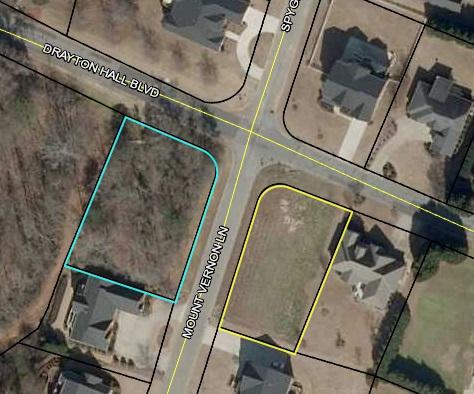 602 Mount Vernon Lane - Photo 1