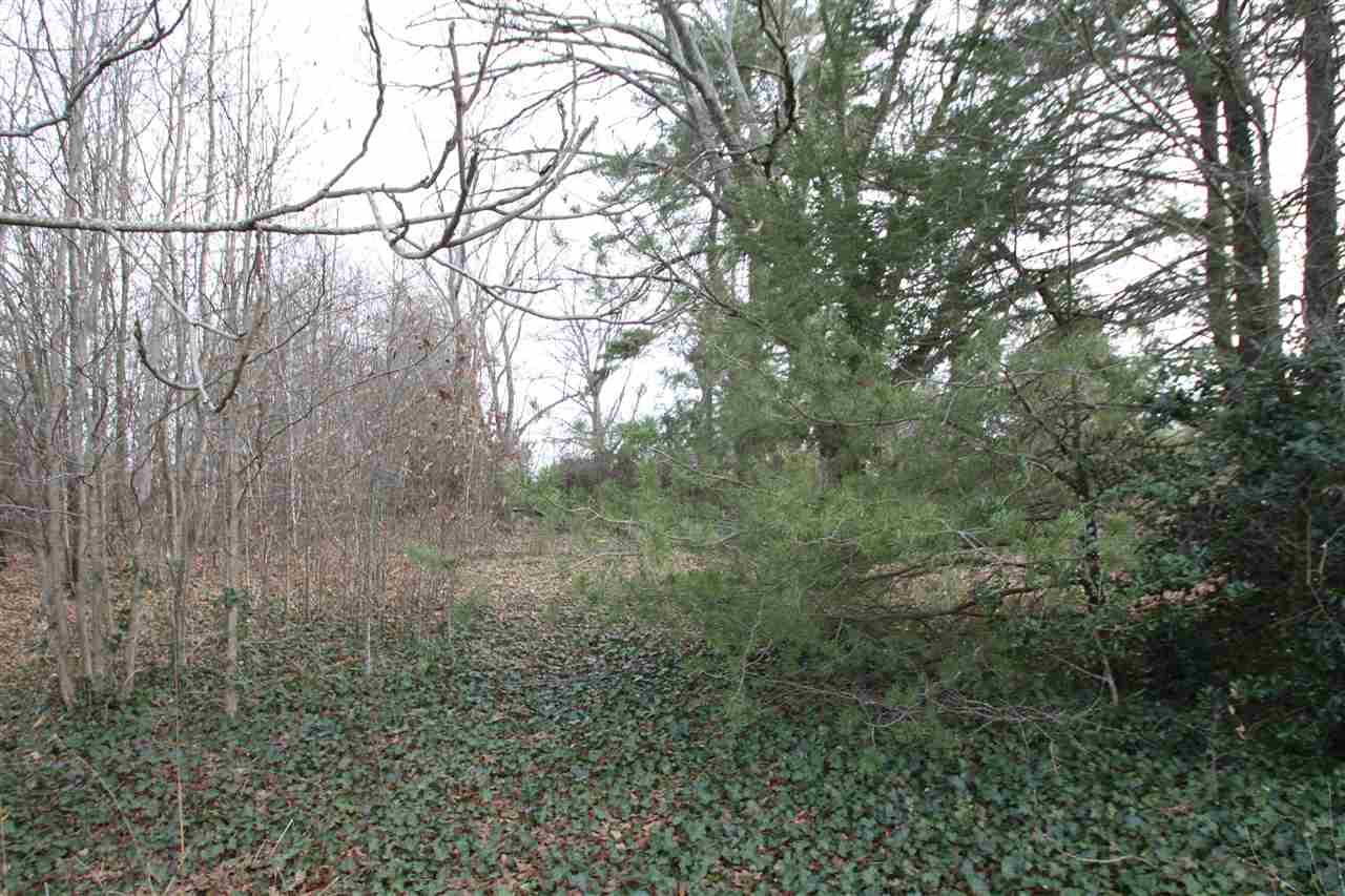 0 Brushy Creek Road - Photo 1