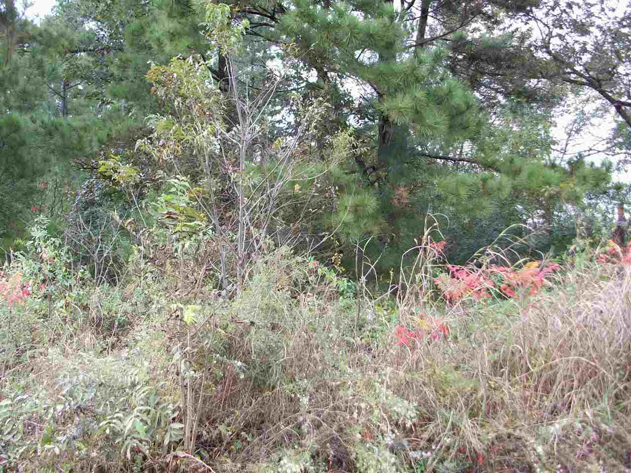 0 Ellis Ferry Rd - Photo 1