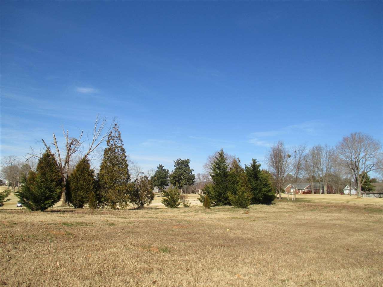 405 Royal Burgess - Photo 1