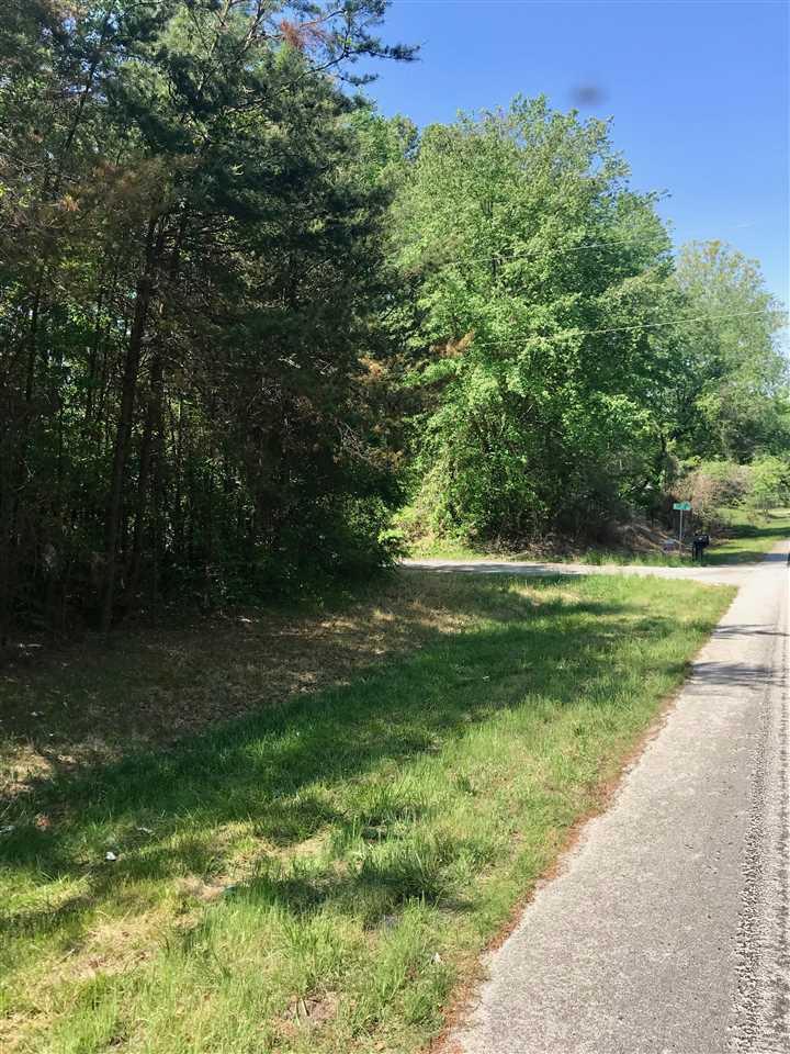 105 Melba Lane - Photo 1