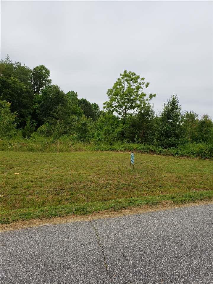 0 Walnut Hill Church Road - Photo 1
