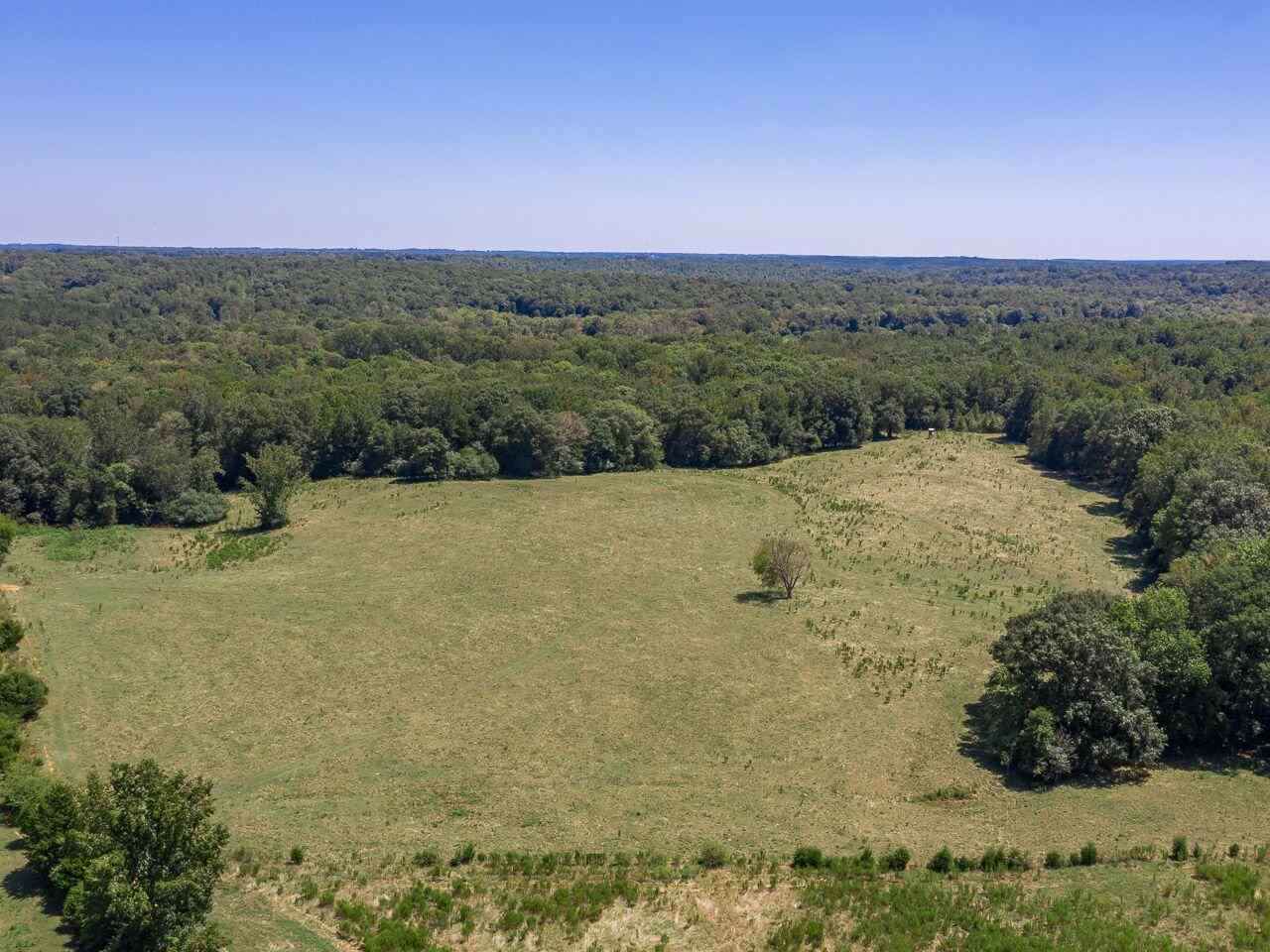 LOT 40/50L Rhodes Road - Photo 1