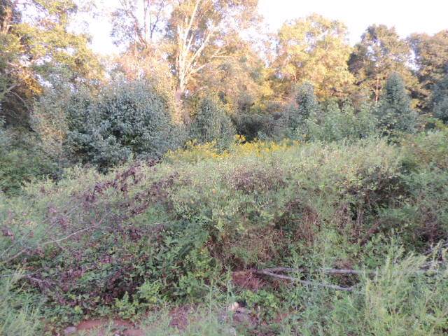 120 Whrispering Pond - Photo 1