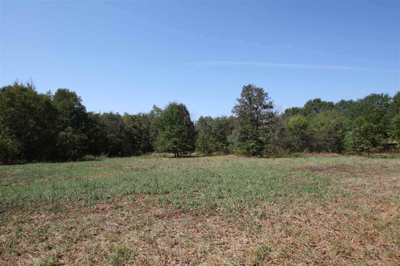 0 Holly Springs Rd - Photo 1