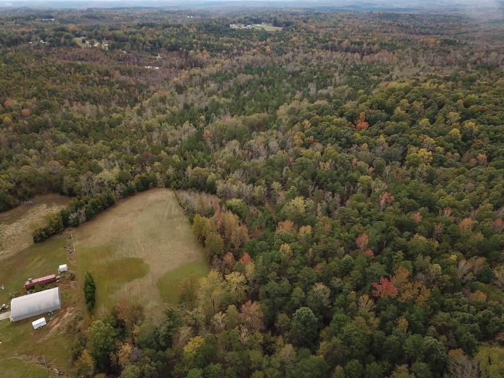 155 Old Race Track Road - Photo 1