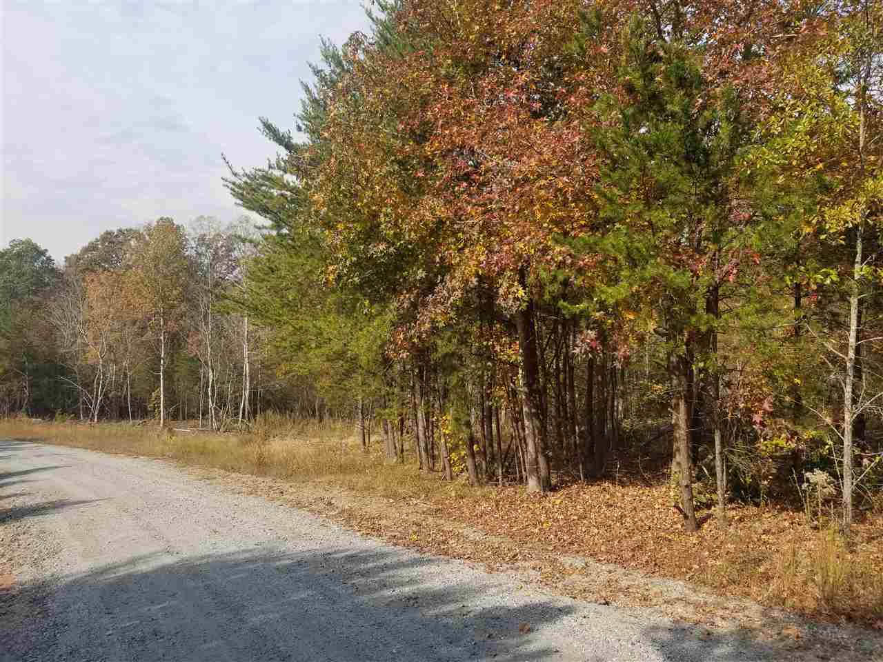 00 Forest Trail Dr. - Photo 1
