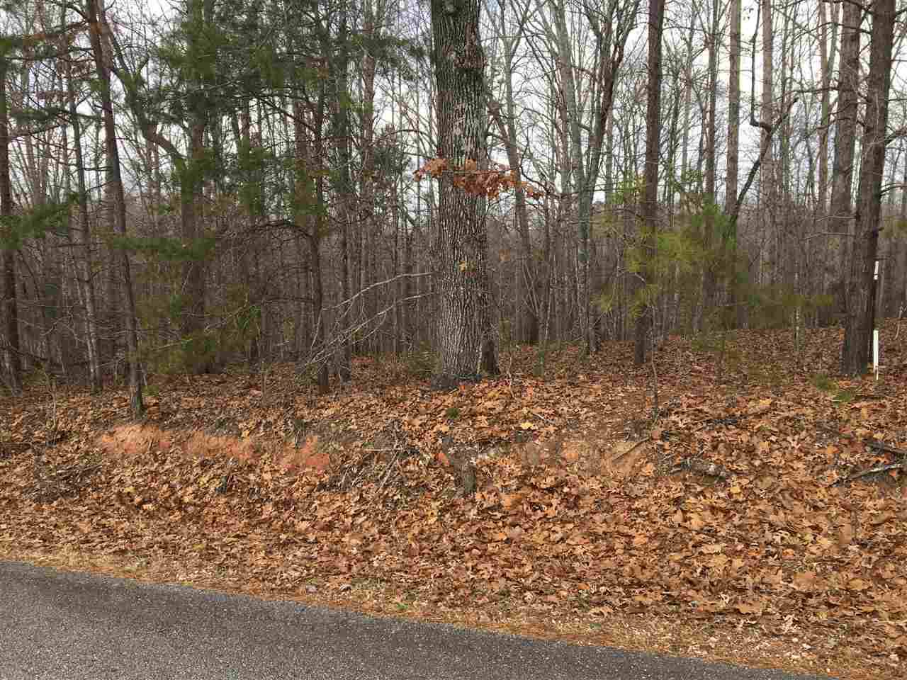 0 Vienna Road (Lot 3) - Photo 1