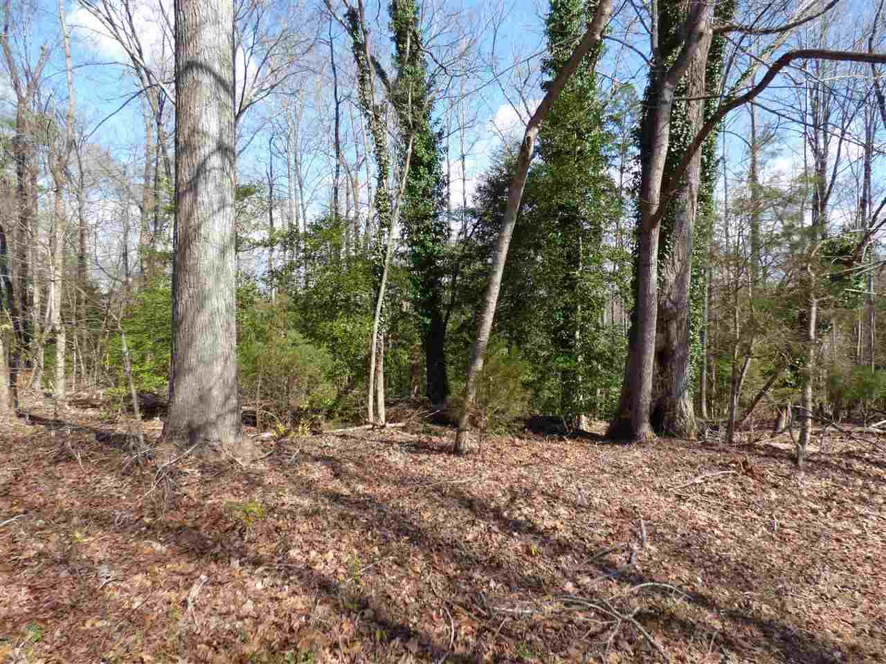 115 Forest Road - Photo 1