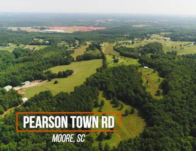 00 Pearson Town Road - Photo 1