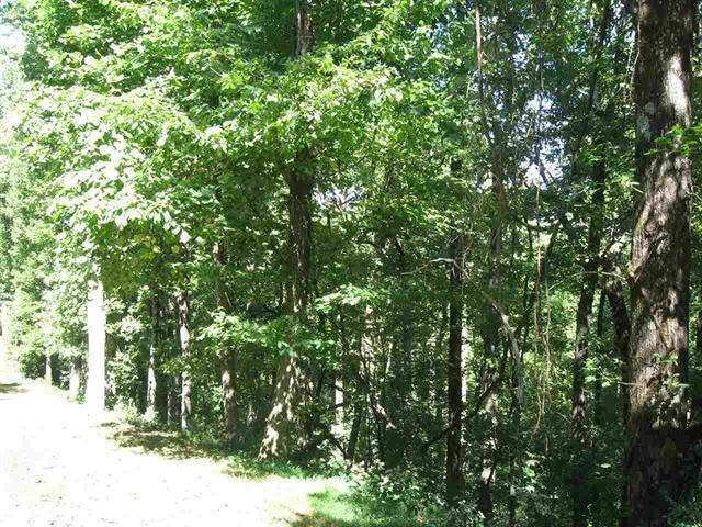 Lot 11 Sunset Ridge - Photo 1