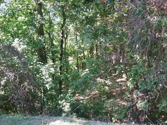 Lot 70 Serpentine Dr - Photo 1