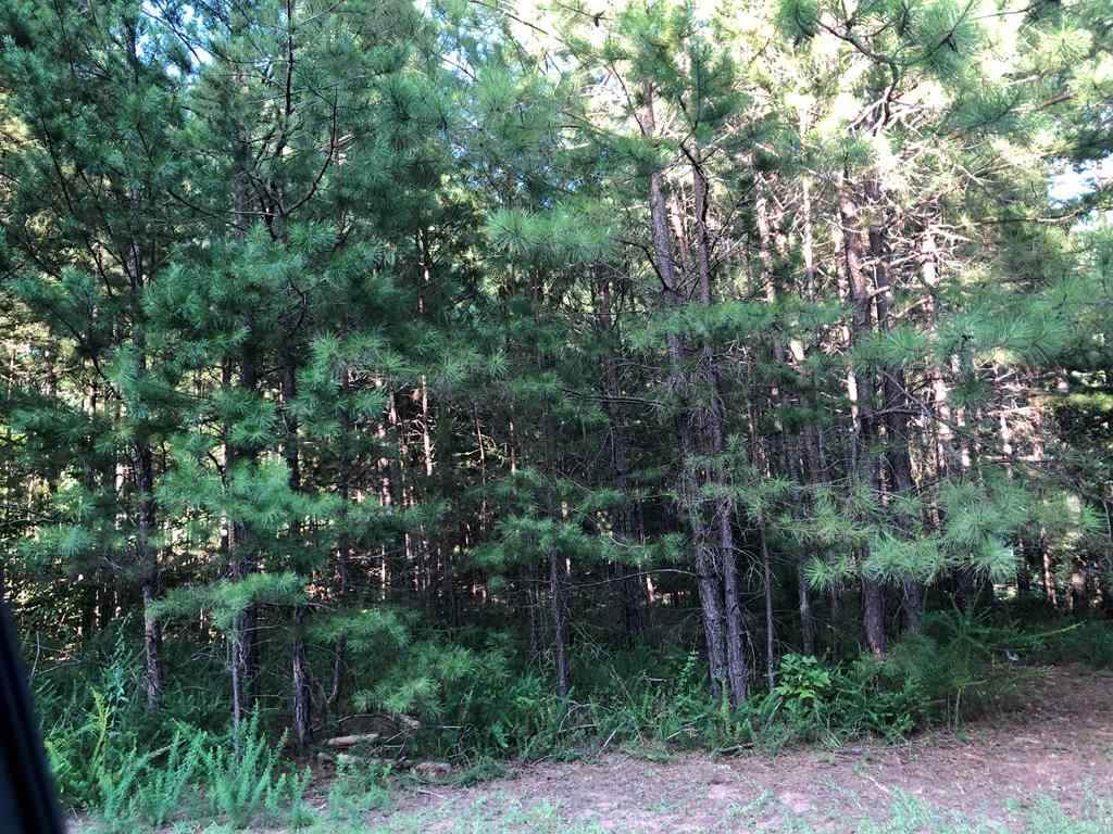 548 Killion Dr - Photo 1