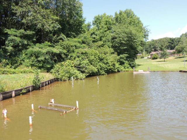203 Blackwell Road - Photo 1