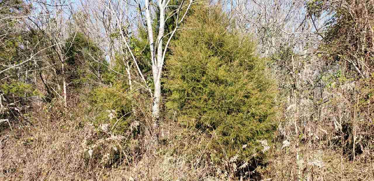 980 Regina Road - Photo 1