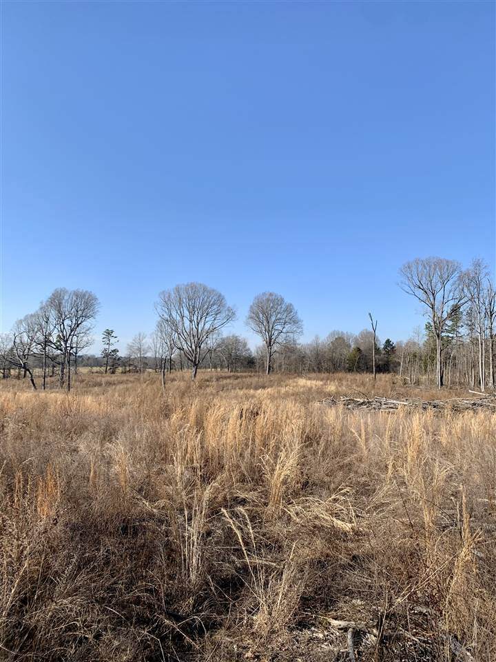 144 Island Creek Rd - Photo 1