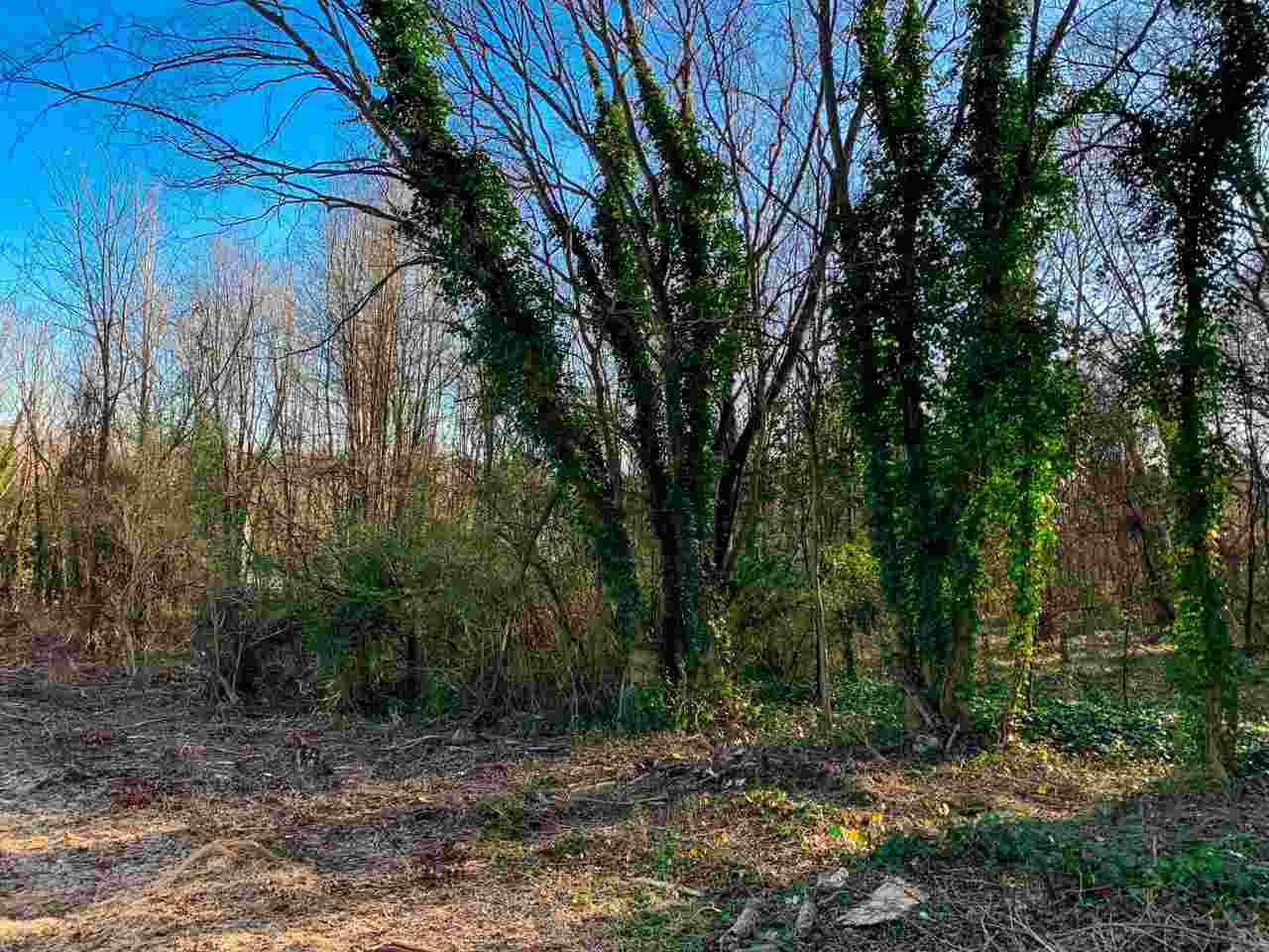 285 Old Petrie Road - Photo 1