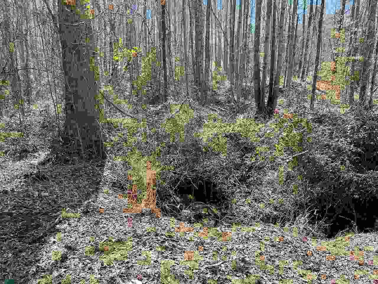 1285 Fairfield Rd - Photo 1