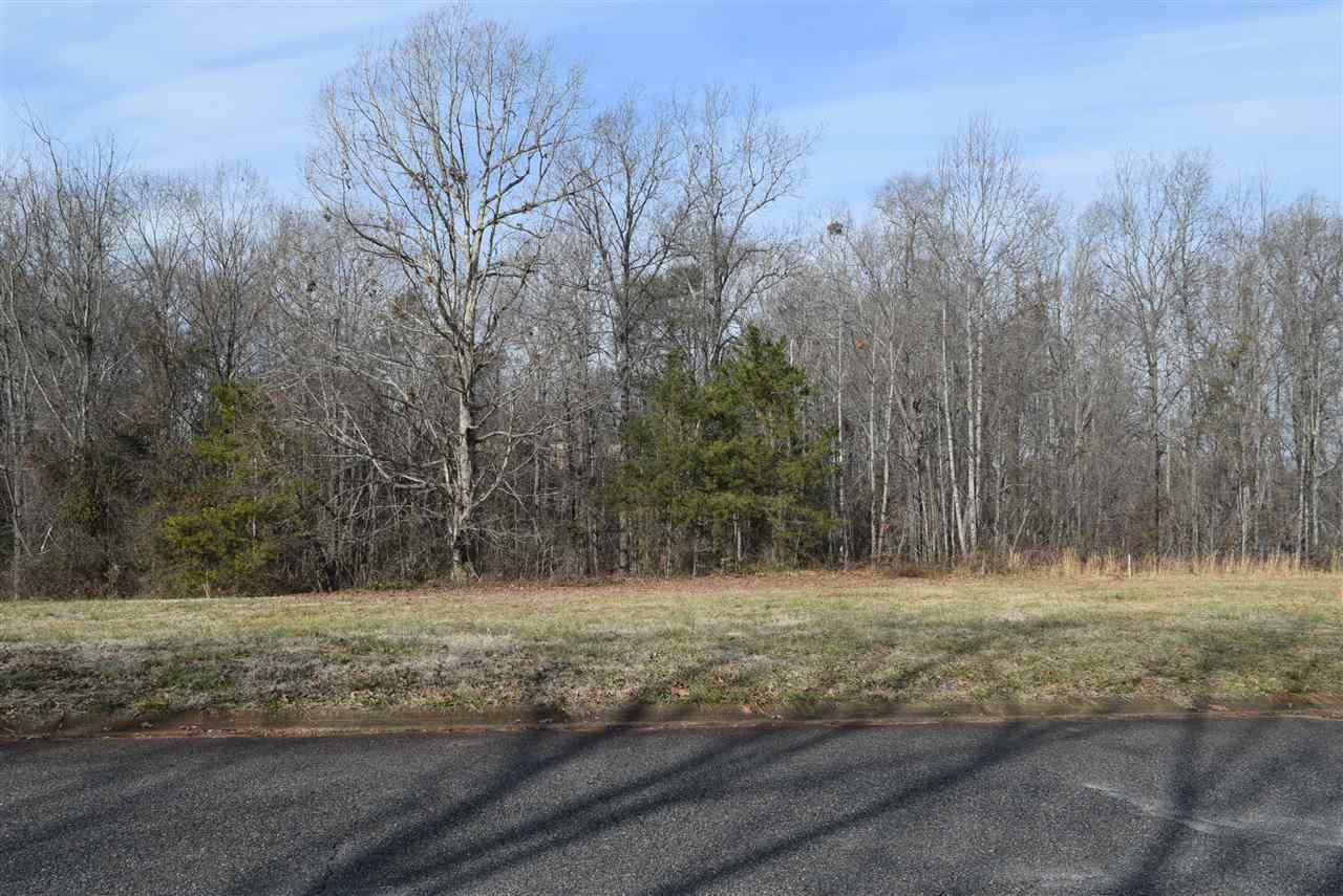 426 Tangleridge Drive - Photo 1