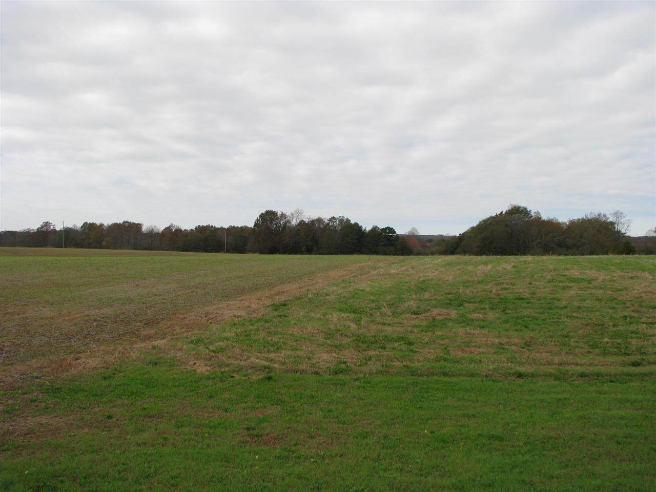 Tract A Grassy Pond Creek Rd - Photo 1