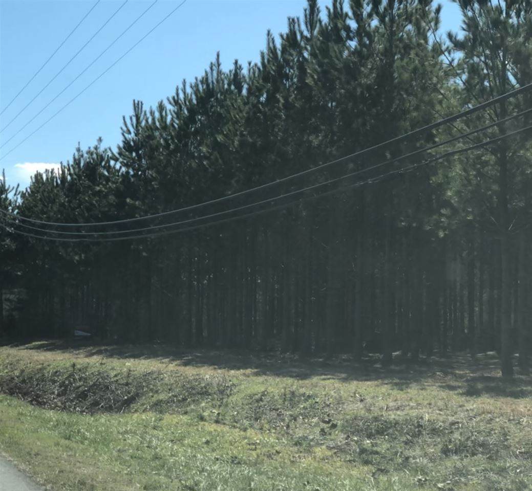 Zion School Rd - Photo 1