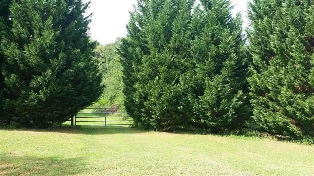 275 Applebark Lane - Photo 1