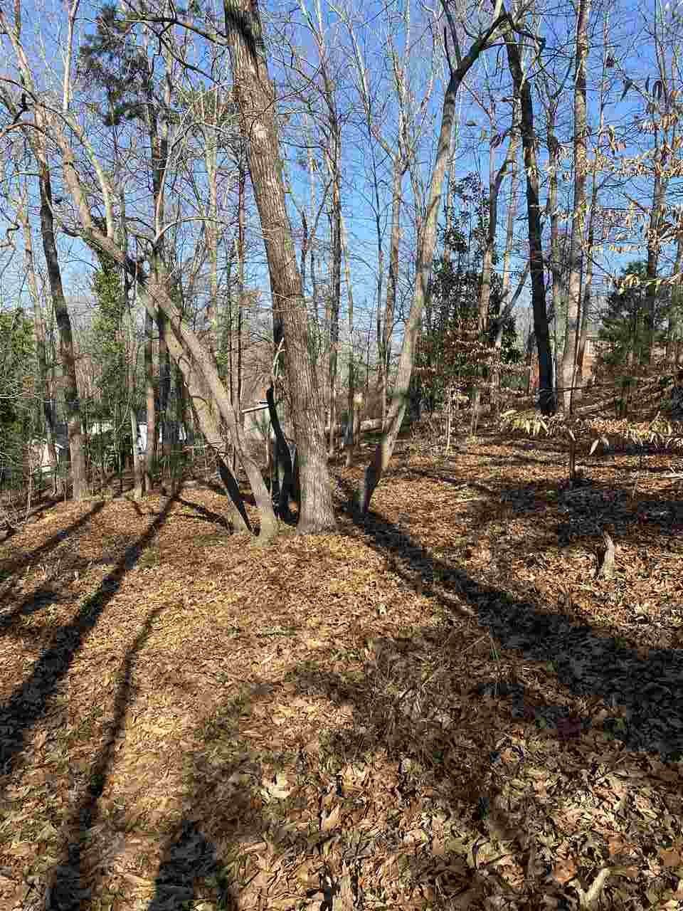 Lot 88 Heathwood Drive - Photo 1