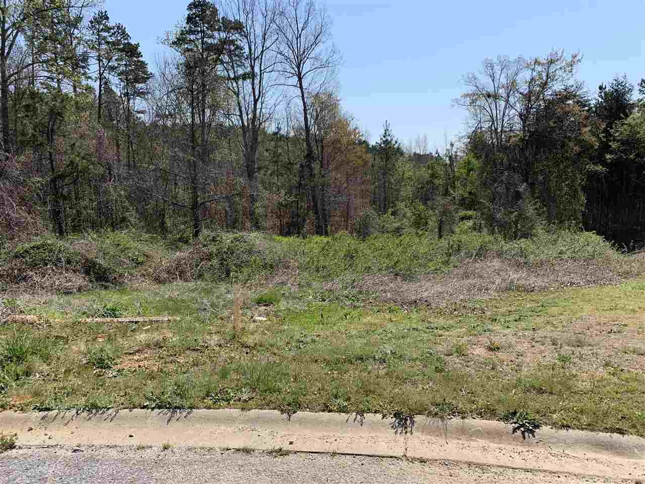 249 Spirit Drive - Photo 1