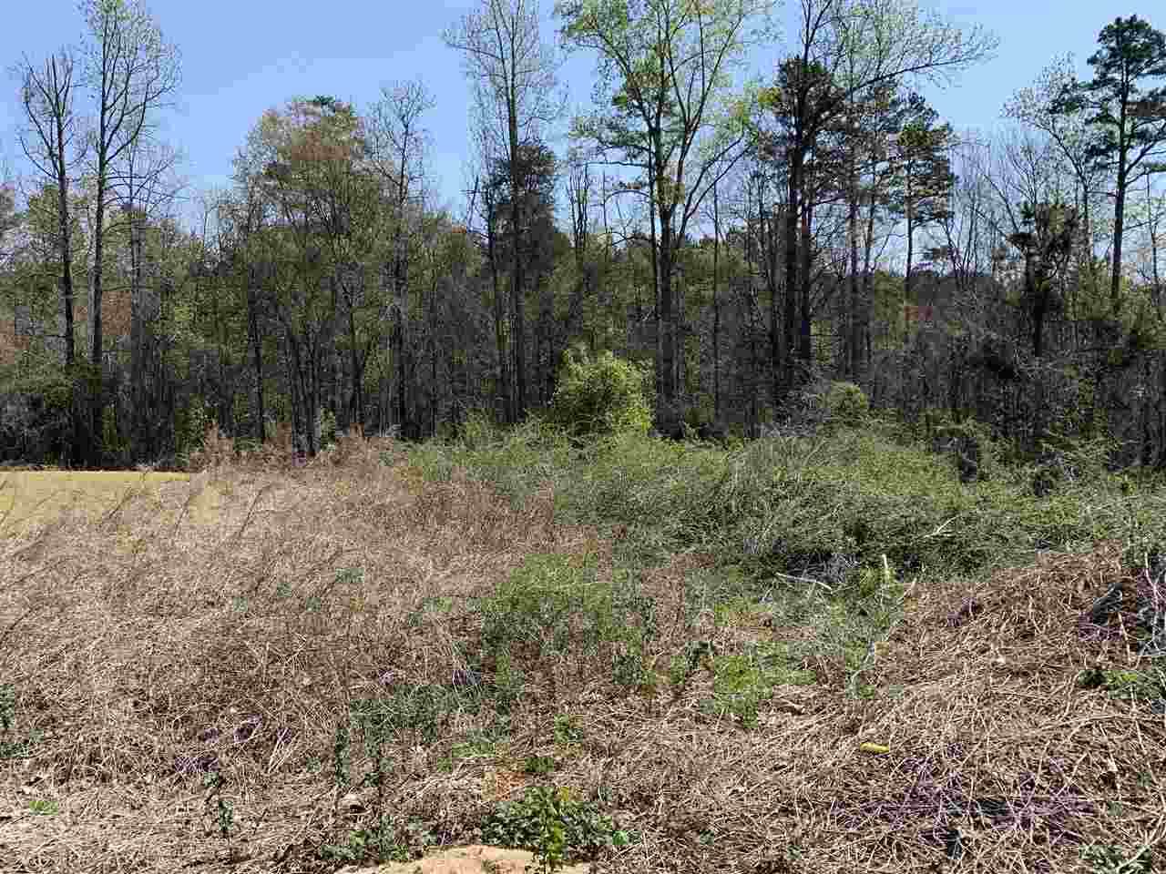 245 Spirit Drive - Photo 1