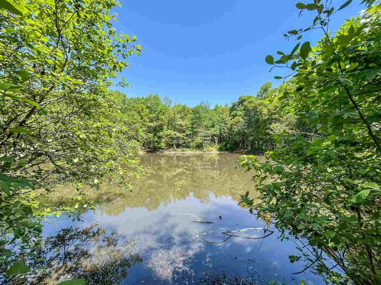 121, 137, 147 Bellew Carver Road - Photo 1