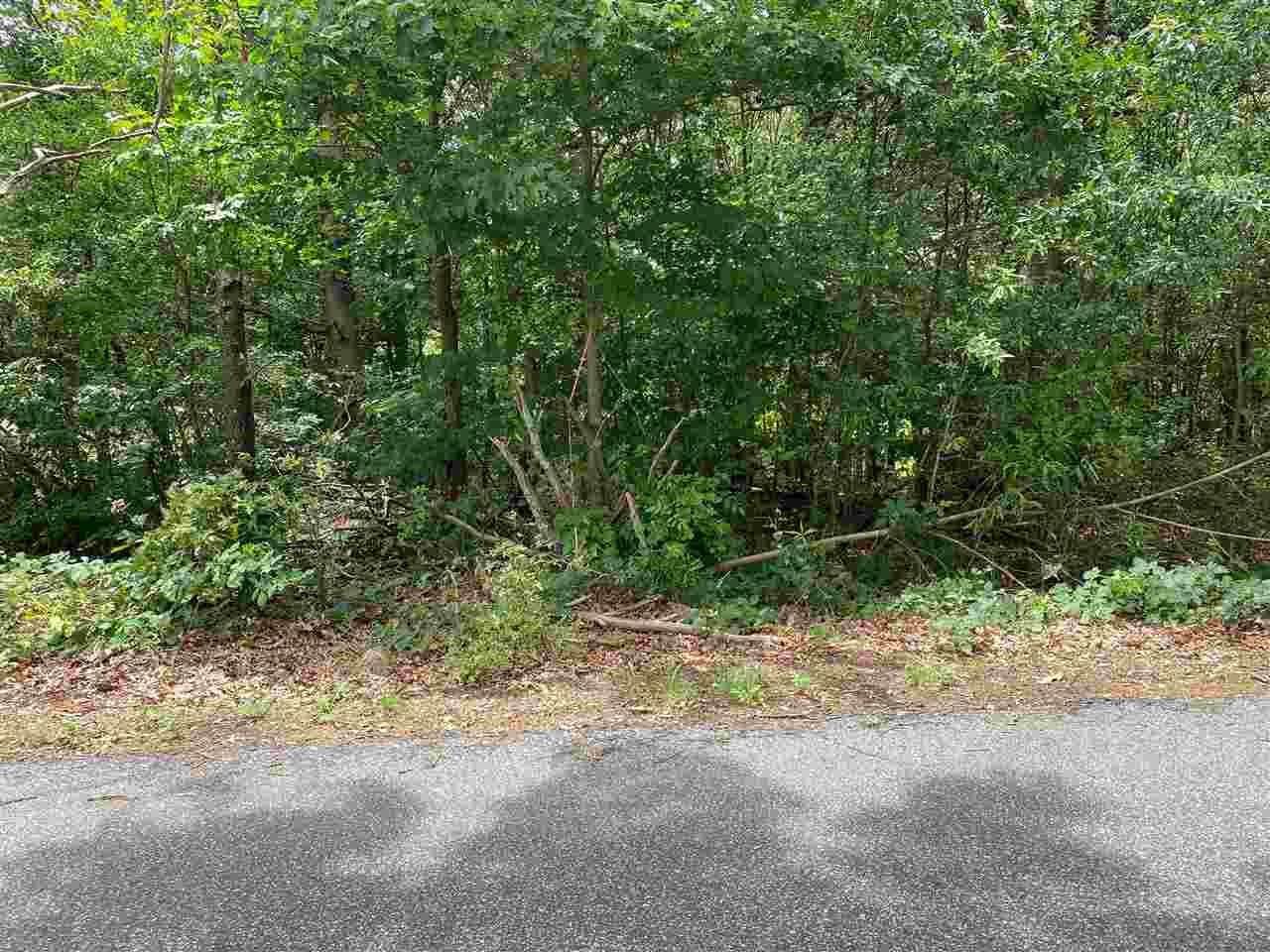 Lots 8 & 9 Fowler Street - Photo 1