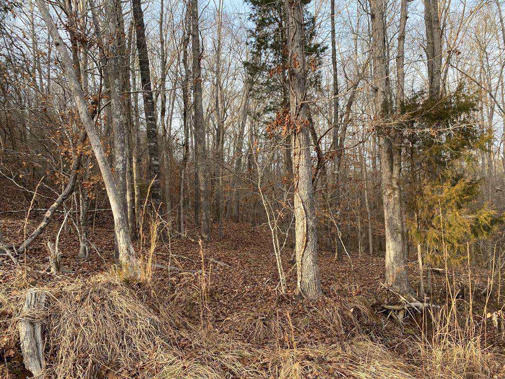 1330 Mcknight Rd - Photo 1