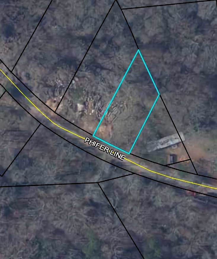 240 Phifer Line - Photo 1