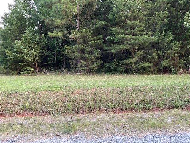 0 Sand Clay Lot 3 - Photo 1