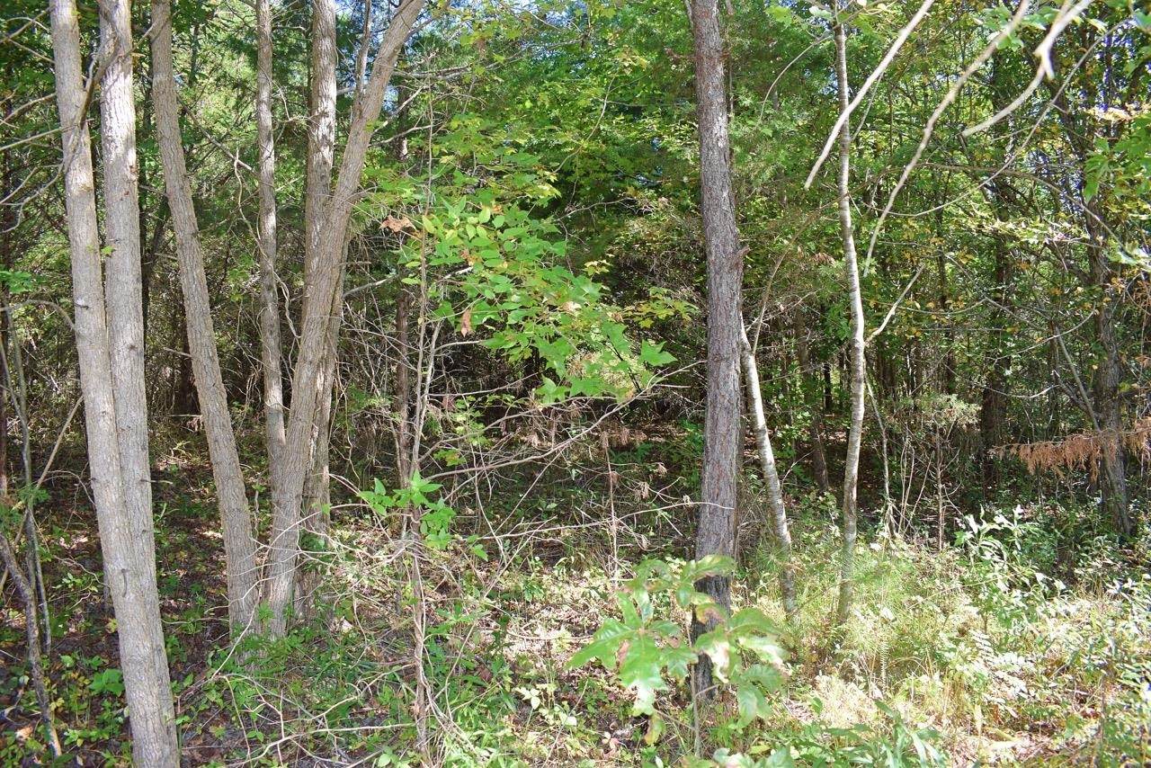 123 Walker Road - Photo 1