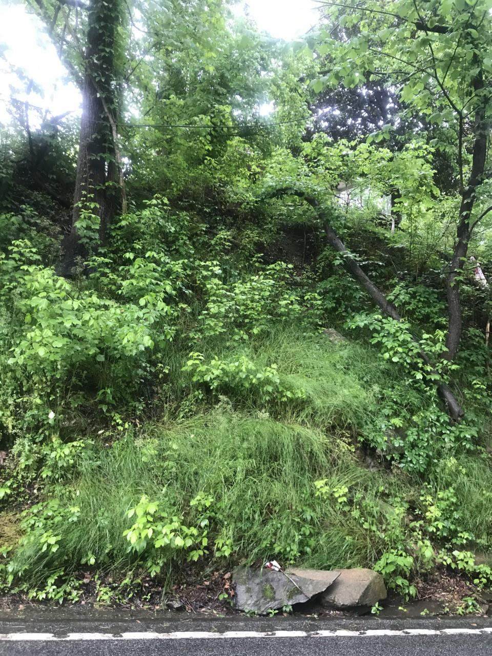 160 Beacon Light Road - Photo 1