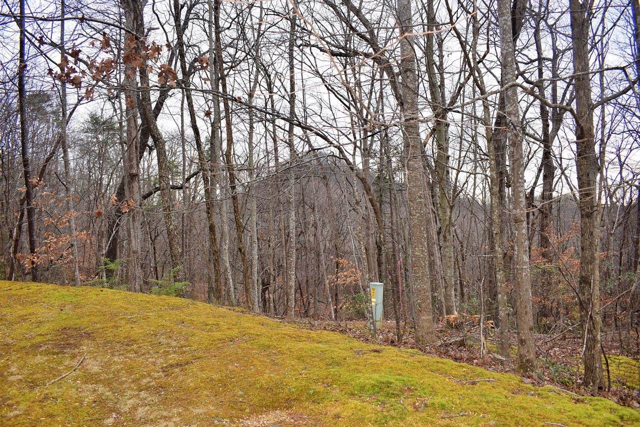 Lots 3 Hemlock Trail - Photo 1