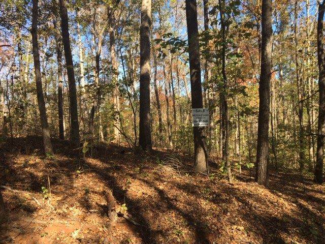 Lot 208 Hiawatha Trail - Photo 1