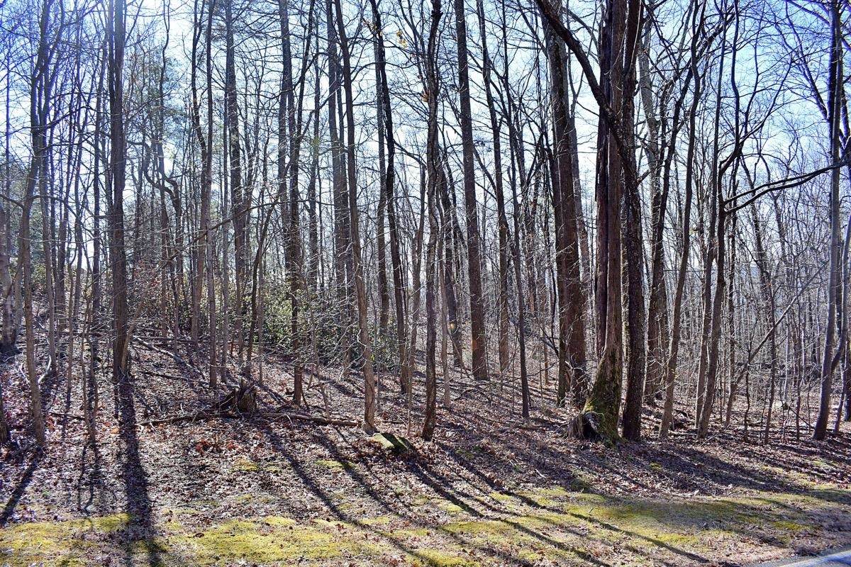 35 Granite Knob Way - Photo 1