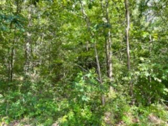 133/135 Edgewater Dr - Photo 1