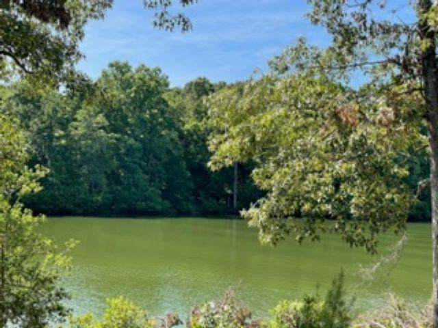 398 Country Oak Road - Photo 1