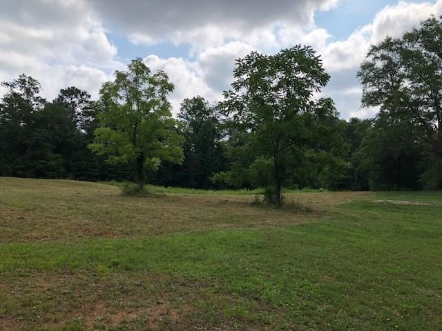 815 Peach Shed Road - Photo 1