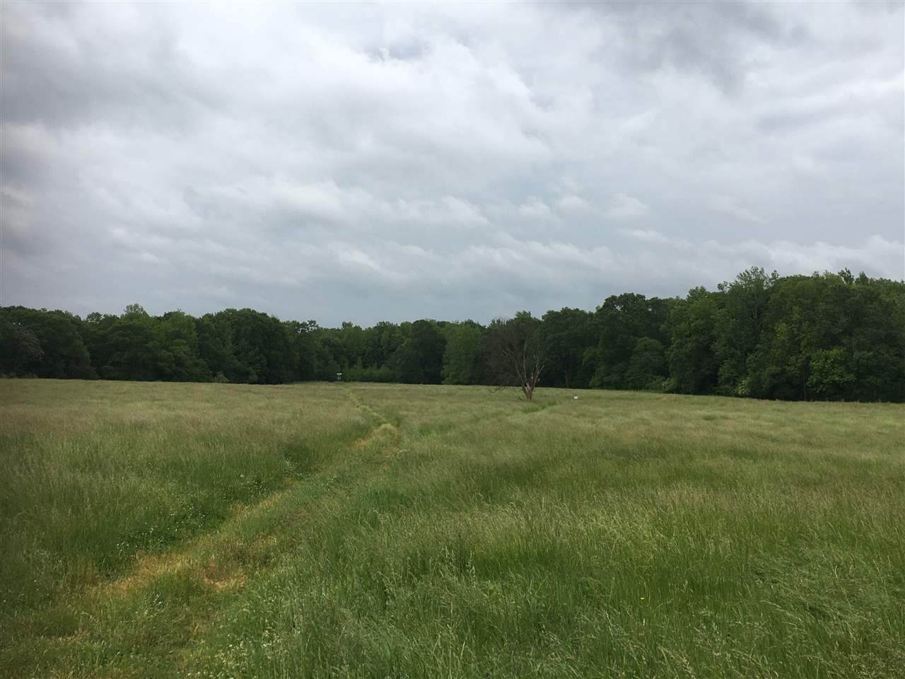 Lot 50 Rhodes Road - Photo 1