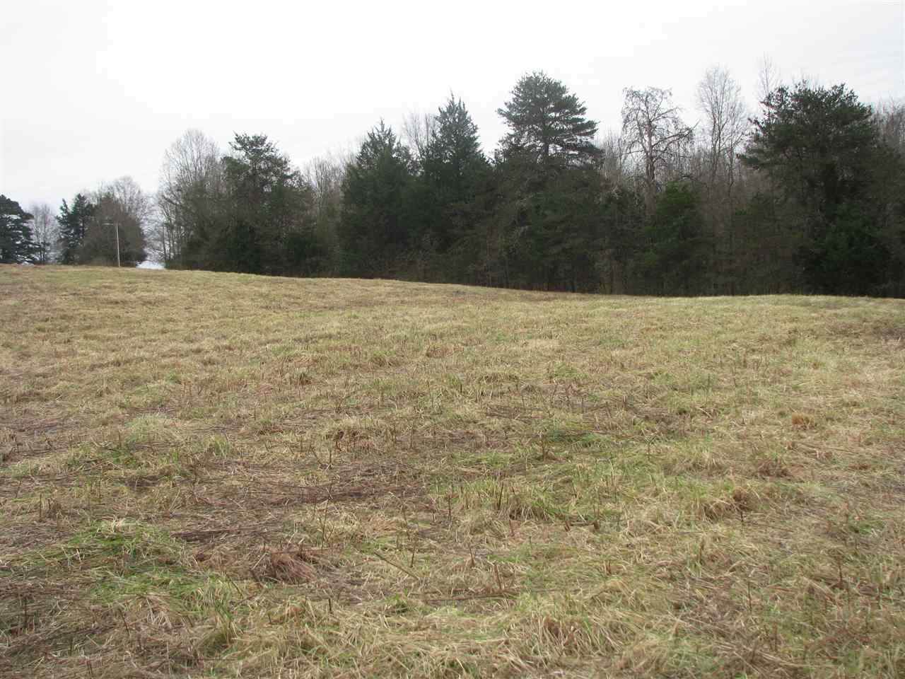 0 Grassy Pond Creek Rd (Lot 2) - Photo 1