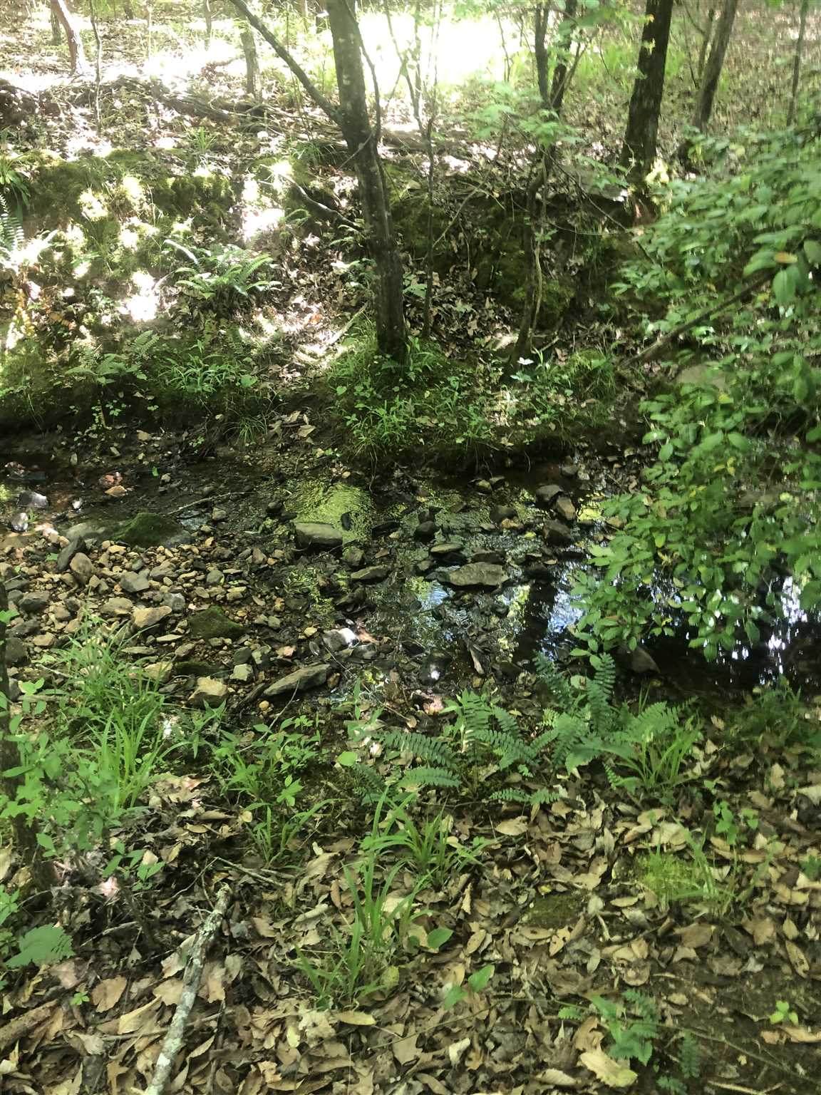 0 Vienna Rd ( Lot 18,23 +) - Photo 1