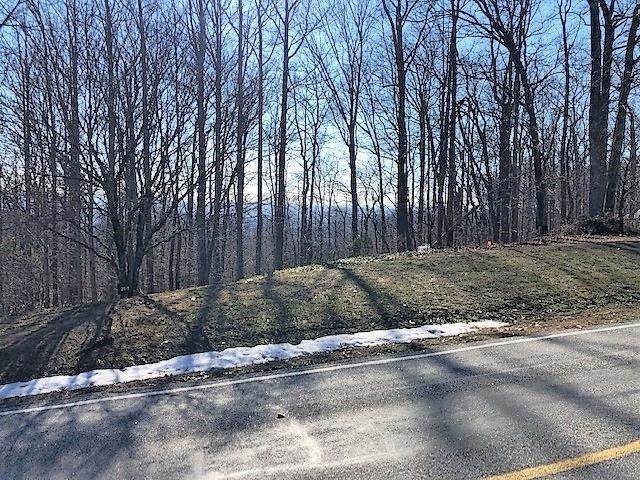 0 Plumley Summit Rd Lot 21 - Photo 1