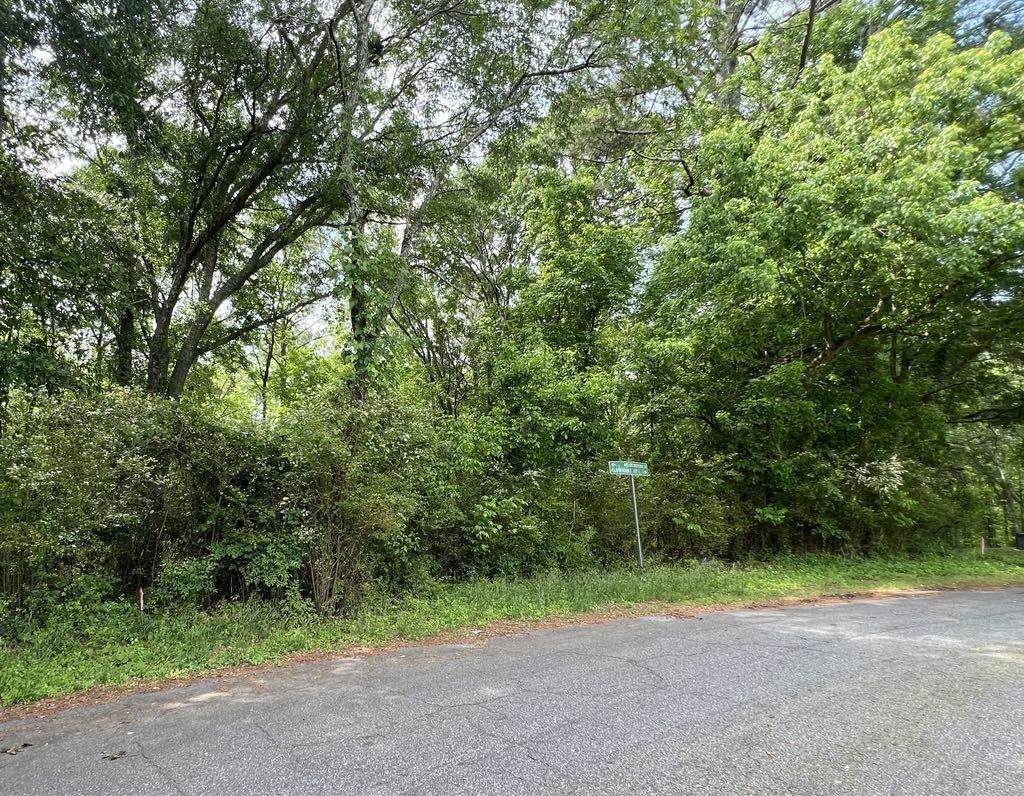 Lot 1 Cloverdale Drive - Photo 1