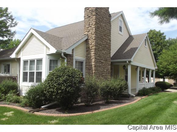 22 Chimney View Ln - Photo 1