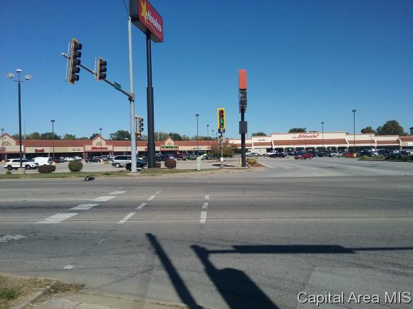 1895 Sangamon Ave - Photo 1