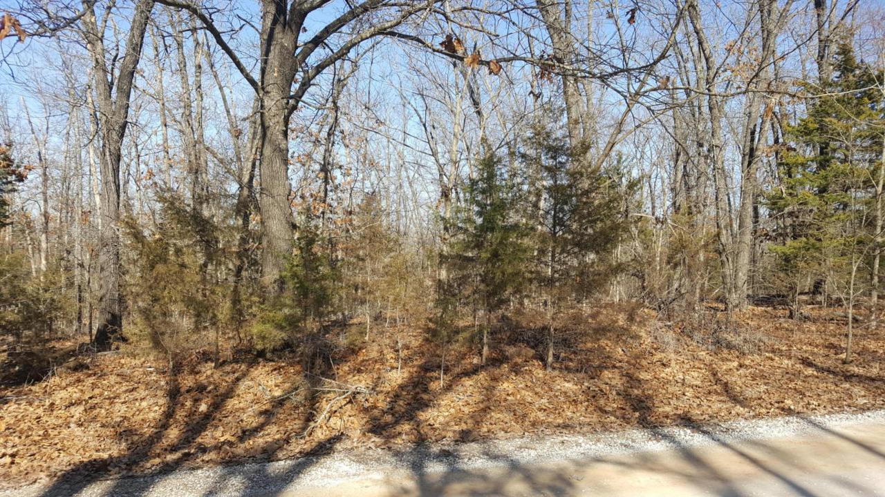 Lt 32 & 33 Falling Star Road - Photo 1